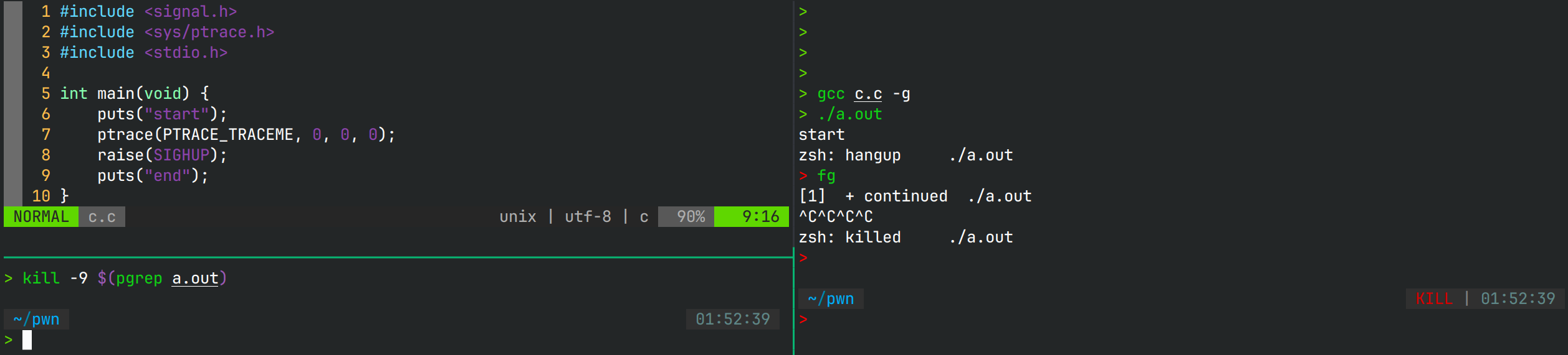 tracerZsh